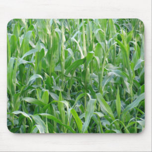 Background foto van Rural Green Cornfield Muismat