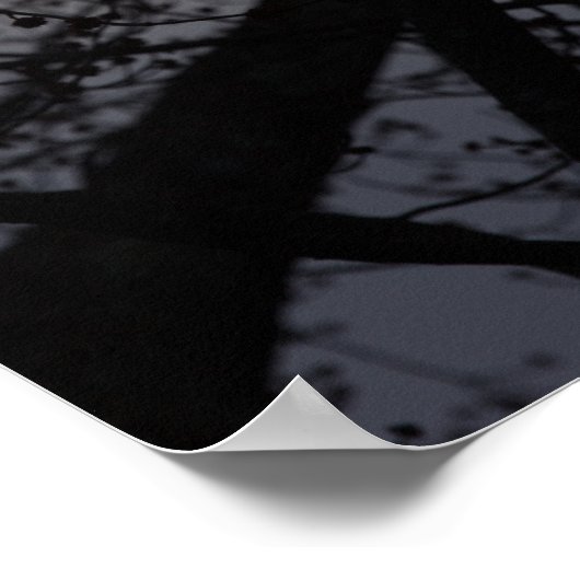 Backlit Boom Poster (Hoek)