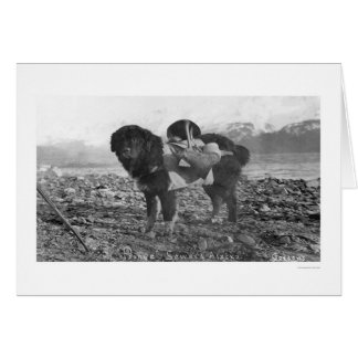 Backpackaging Dog Seward, Alaska 1911