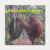 Backpacken Borneo Orangutan Magneet (Voorkant)