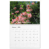 Backwood Photos Calendar Kalender (Feb 2026)