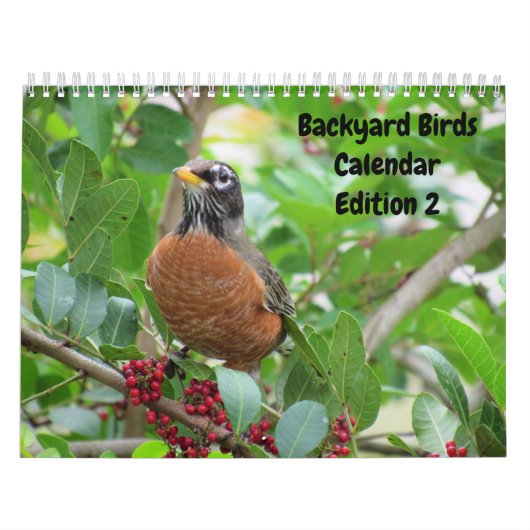 Backyard Birds Calendar - Uitgave 2 Kalender (Hoes)