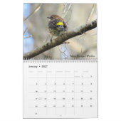 Backyard Birds Calendar - Uitgave 2 Kalender (Jan 2027)