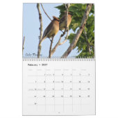 Backyard Birds Calendar - Uitgave 2 Kalender (Feb 2027)
