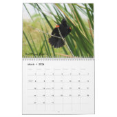 Backyard Birds Calendar - Uitgave 2 Kalender (Mar 2026)