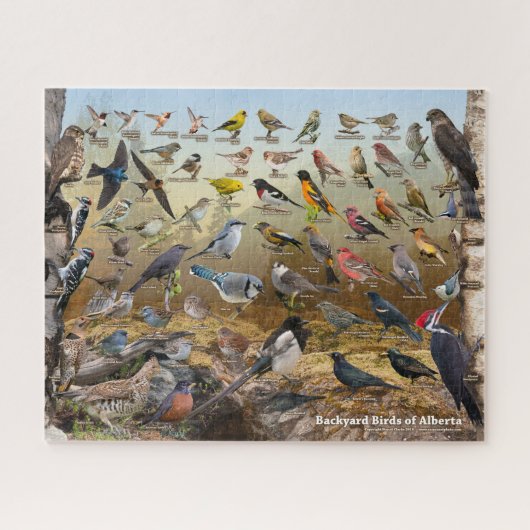 Backyard Birds of Alberta Puzzle Legpuzzel (Horizontaal)