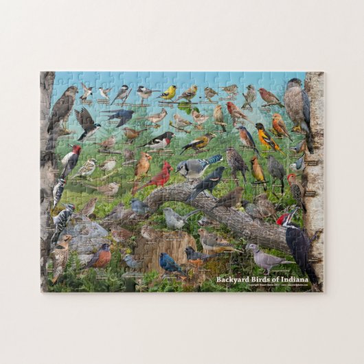Backyard Birds of Indiana Puzzle Legpuzzel (Horizontaal)