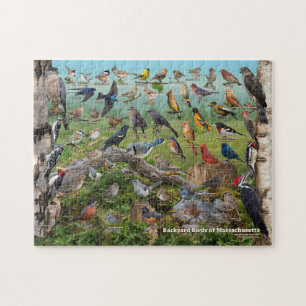 Backyard birds of Massachusetts Legpuzzel