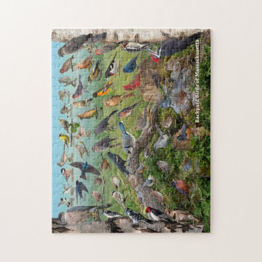 Backyard birds of Massachusetts Legpuzzel (Verticaal)