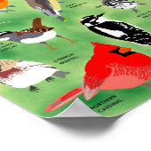 Backyard Birds of Minnesota Poster (Hoek)