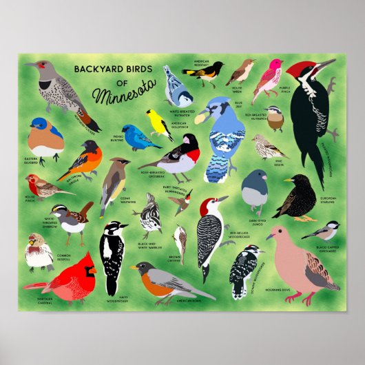 Backyard Birds of Minnesota Poster (Voorkant)