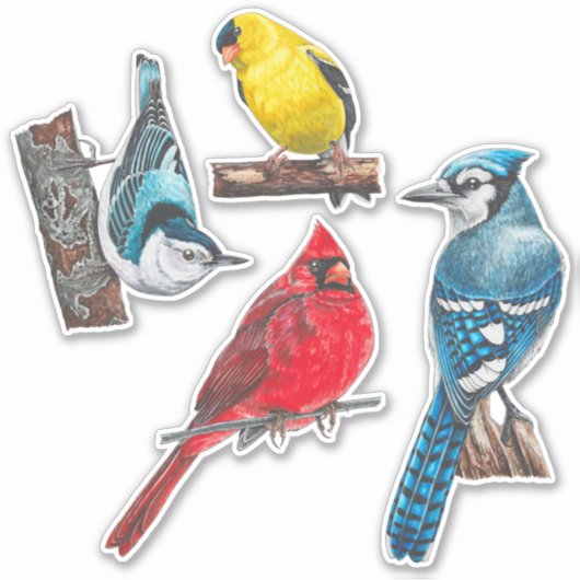 Backyard Birds Stickers Value Pack (Voorkant)