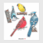 Backyard Birds Stickers Value Pack (Vel)