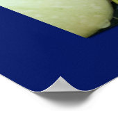 Backyard Bounty Print (Hoek)