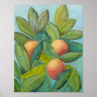 BACKYARD FLORIDA SINAASAPPELS Poster