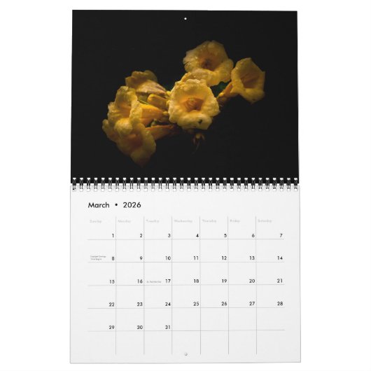 Backyard Flowers 63 Color Version Kalender (Mar 2026)