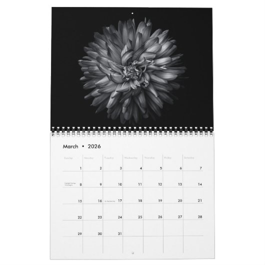 Backyard Flowers In Black And White 20 Kalender (Mar 2026)