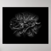 Backyard Flowers In Black And White 67 Poster (Voorkant)