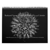 Backyard Flowers In Black And White No 45 Kalender (Hoes)