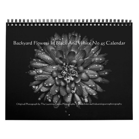 Backyard Flowers In Black And White No 45 Kalender (Hoes)