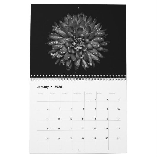 Backyard Flowers In Black And White No 45 Kalender (Jan 2026)