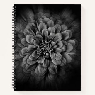 Backyard Flowers In Black And White No 54 Flow Notitieboek