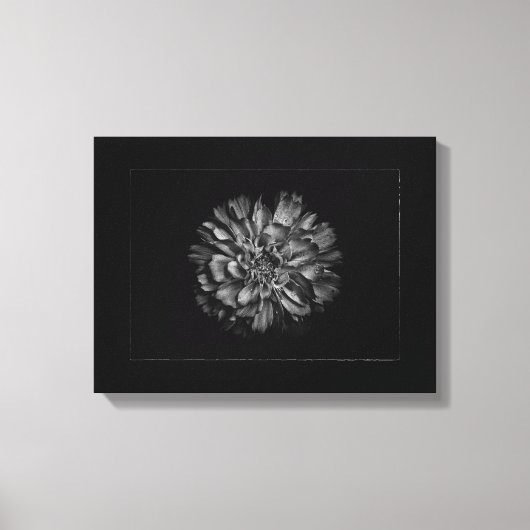 Backyard Flowers In Black & White No 79 Border Canvas Afdruk (Voorkant)