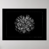 Backyard Flowers In Black & White No 79 Border Poster (Voorkant)