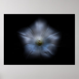 Backyard Flowers No 24 Color Flow Versie Poster