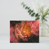 Backyard Flowers No 40 Color Version Briefkaart (Staand voorkant)