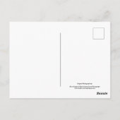 Backyard Flowers No 40 Color Version Briefkaart (Achterkant)