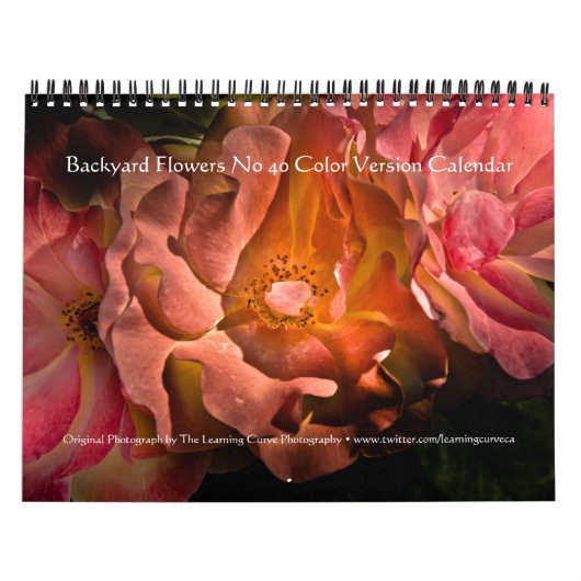 Backyard Flowers No 40 Color Version Kalender (Hoes)