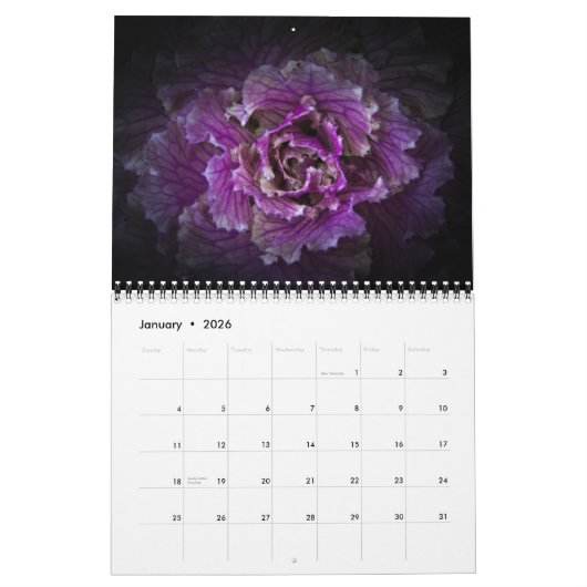 Backyard Flowers No 42 Color Version Kalender (Jan 2026)