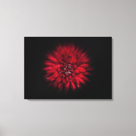 Backyard Flowers No 45 Color Flow Versie Canvas Afdruk
