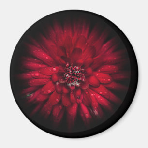 Backyard Flowers No 45 Color Flow Versie Magneet