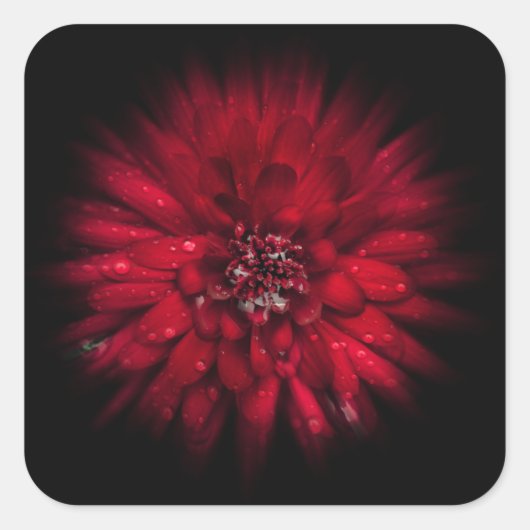 Backyard Flowers No 45 Color Flow Versie Vierkante Sticker (Voorkant)