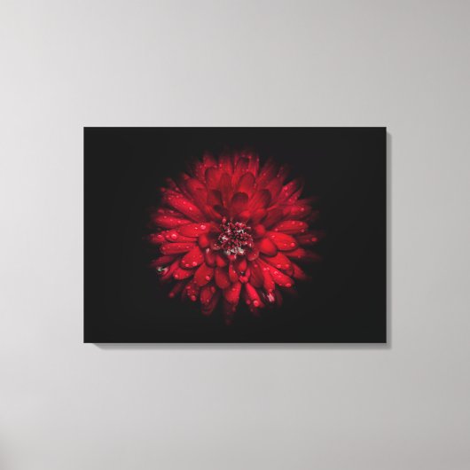 Backyard Flowers No 45 Color Version Canvas Afdruk (Voorkant)