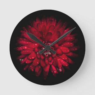Backyard Flowers No 45 Color Version Ronde Klok