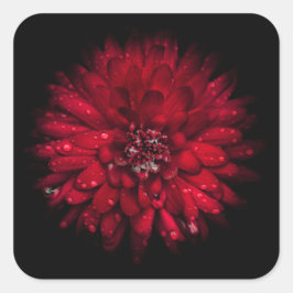 Backyard Flowers No 45 Color Version Vierkante Sticker