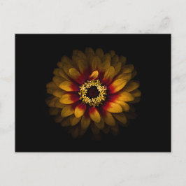 Backyard Flowers No 69 Color Version Briefkaart