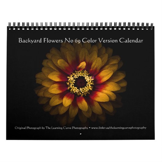 Backyard Flowers No 69 Color Version Kalender (Hoes)
