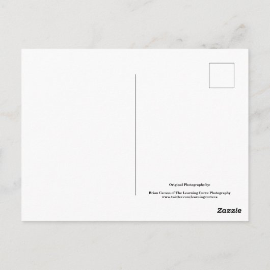 Backyard Flowers No 74 Color Version Briefkaart (Achterkant)