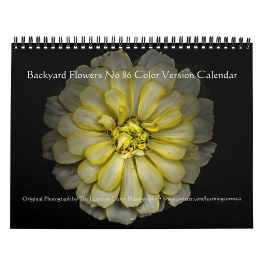 Backyard Flowers No 86 Color Version Kalender (Hoes)