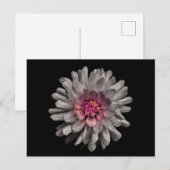 Backyard Flowers No. 91 Color Version Briefkaart (Voorkant / Achterkant)