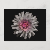 Backyard Flowers No. 91 Color Version Briefkaart (Voorkant)