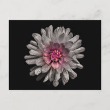 Backyard Flowers No. 91 Color Version