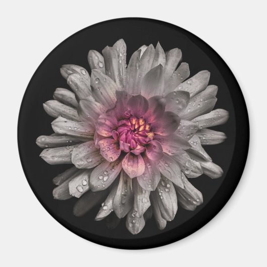 Backyard Flowers No. 91 Color Version Magneet (Voorkant)