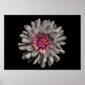 Backyard Flowers No. 91 Color Version Poster (Voorkant)