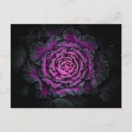 Backyard Flowers No 99 Color Version Briefkaart