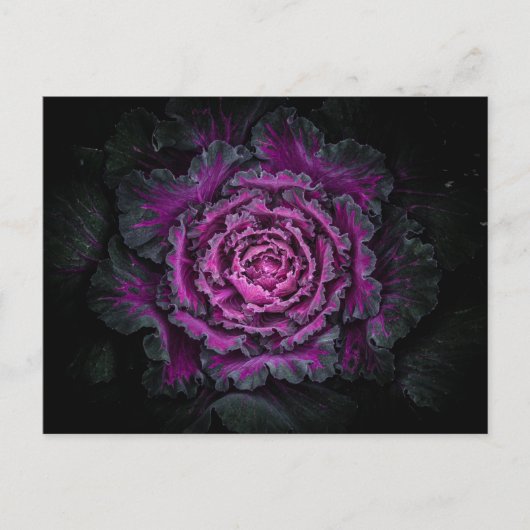 Backyard Flowers No 99 Color Version Briefkaart (Voorkant)